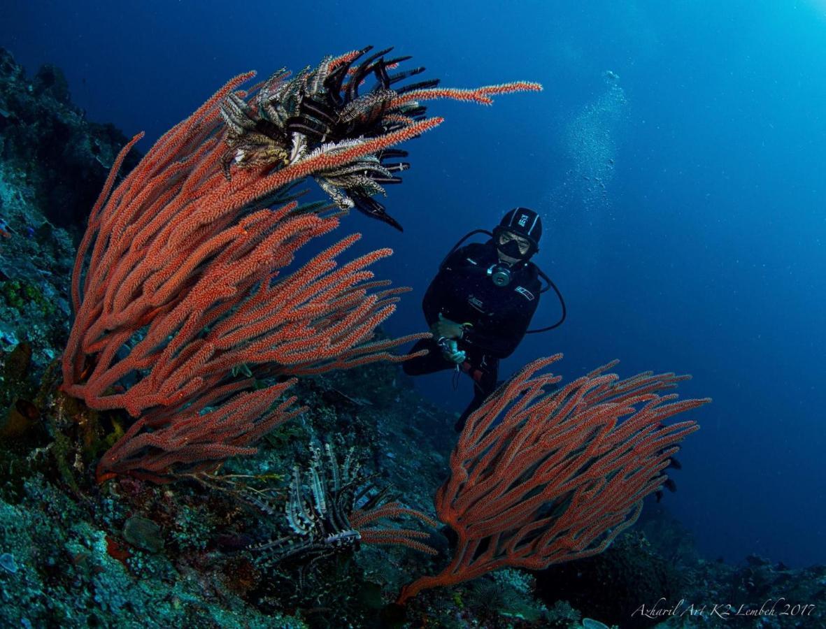 K2 Lembeh Dive Resort Bitung Eksteriør bilde
